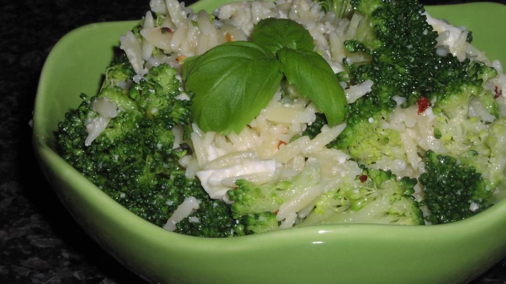 Greek Orzo Pasta Recipe