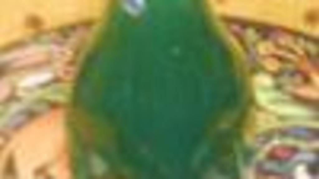 Homemade Rose's Lime Juice (Lime Cordial) Recipe