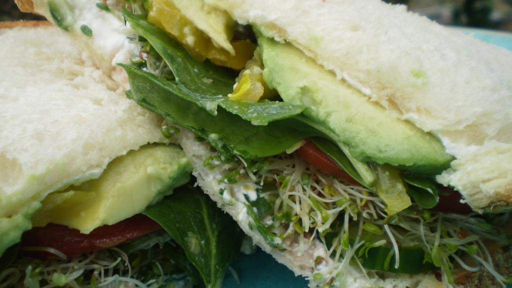 Veggies Dream Cucumber Sandwich created by breezermom