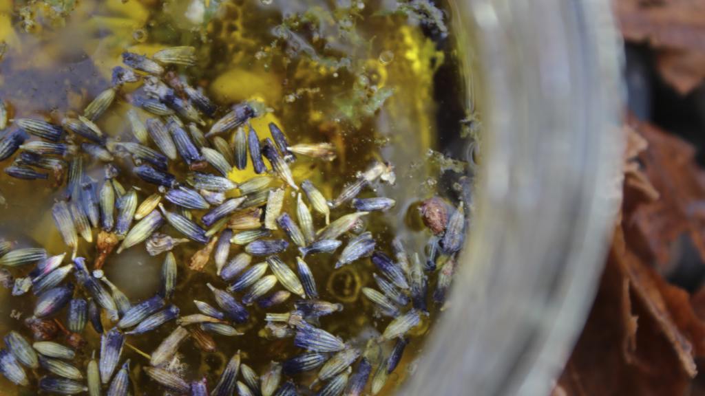 Lavender Salad Dressing created by COOKGIRl