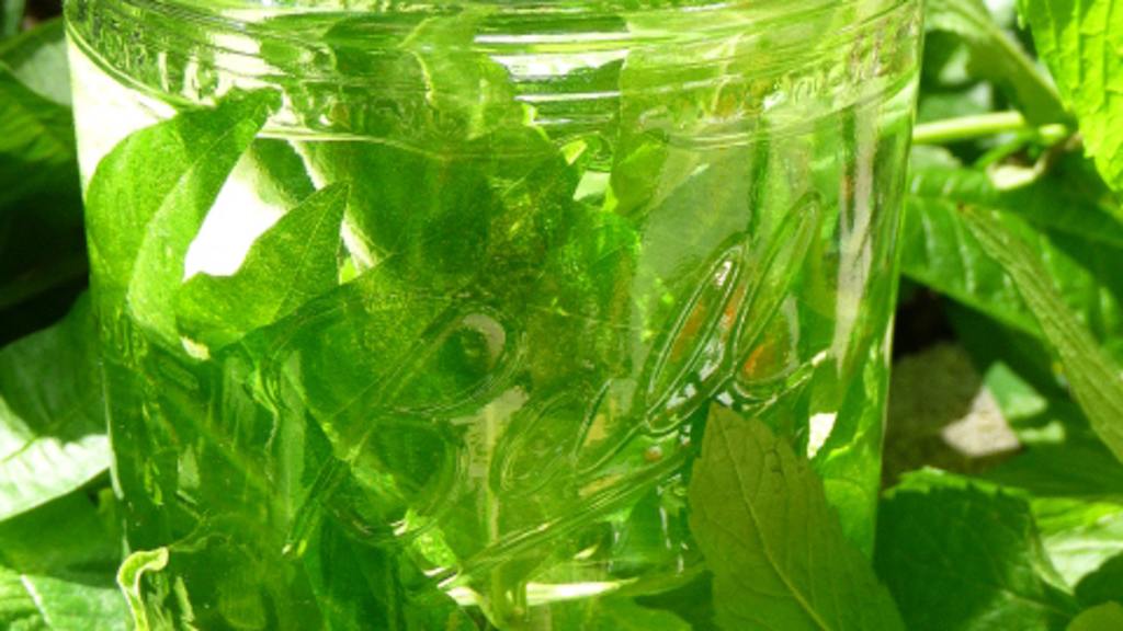 Lemon Verbena Water Recipe