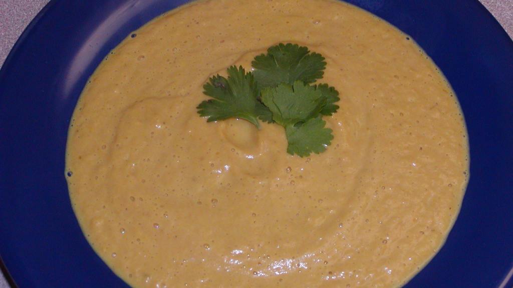 Zesty Pumpkin Soup created by Rita1652