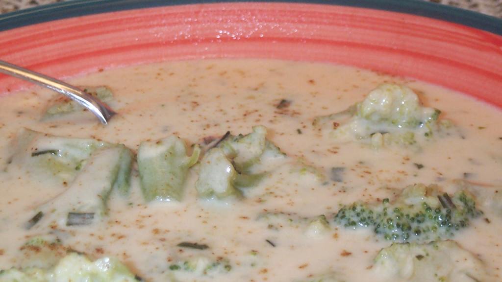 Paula's Cream of Broccoli Soup created by BarbryT