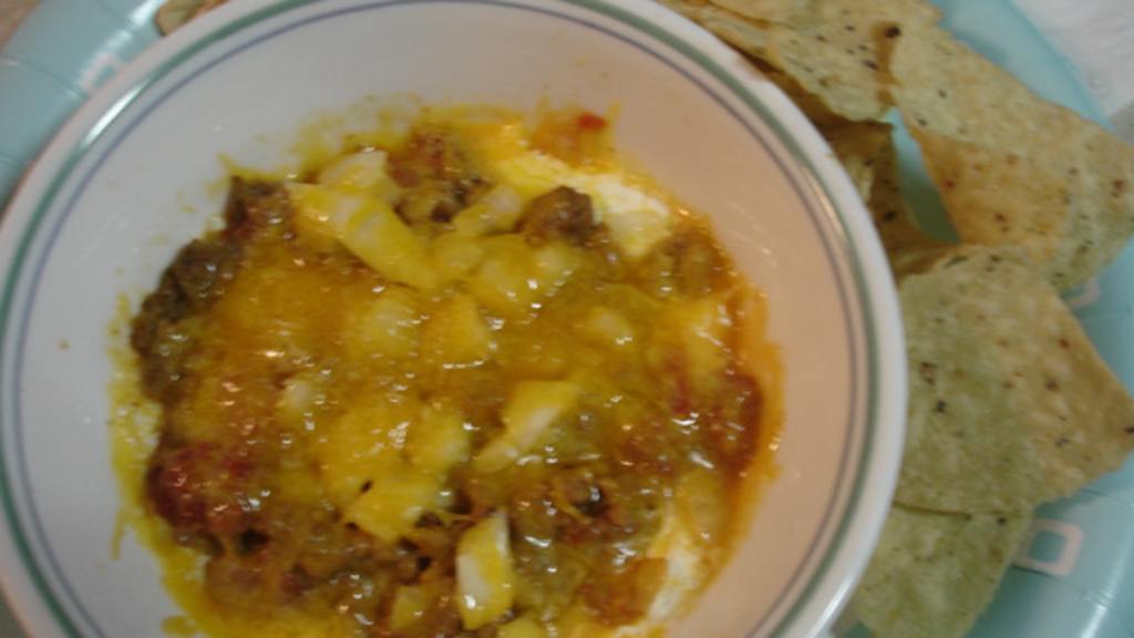 Skyline Chili Dip Recipe