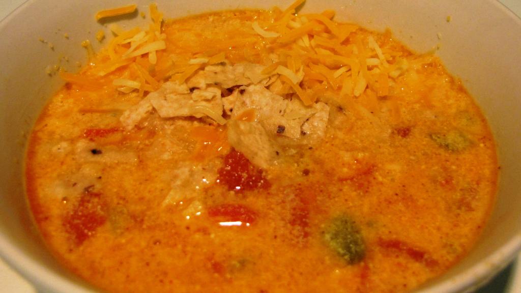 Chicken Cheese Enchilada Soup Recipe - Food.com