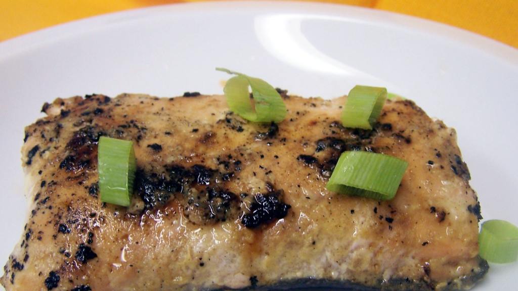 Honey Mustard Grilled Salmon or Tuna Steaks created by PaulaG
