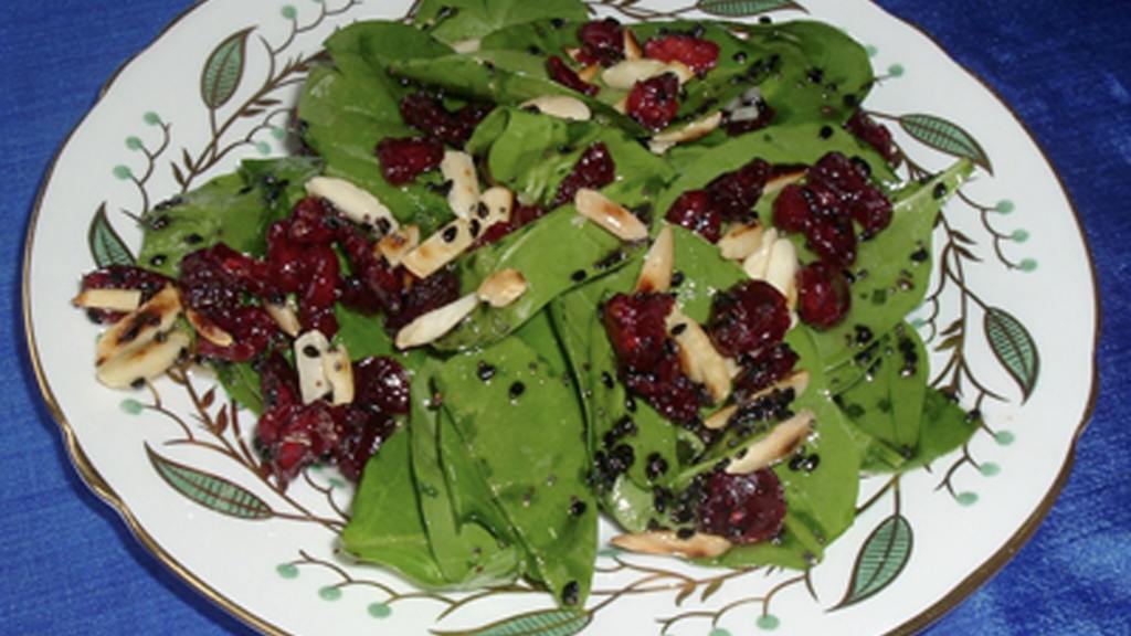 Cranberry Spinach Salad created by Bergy