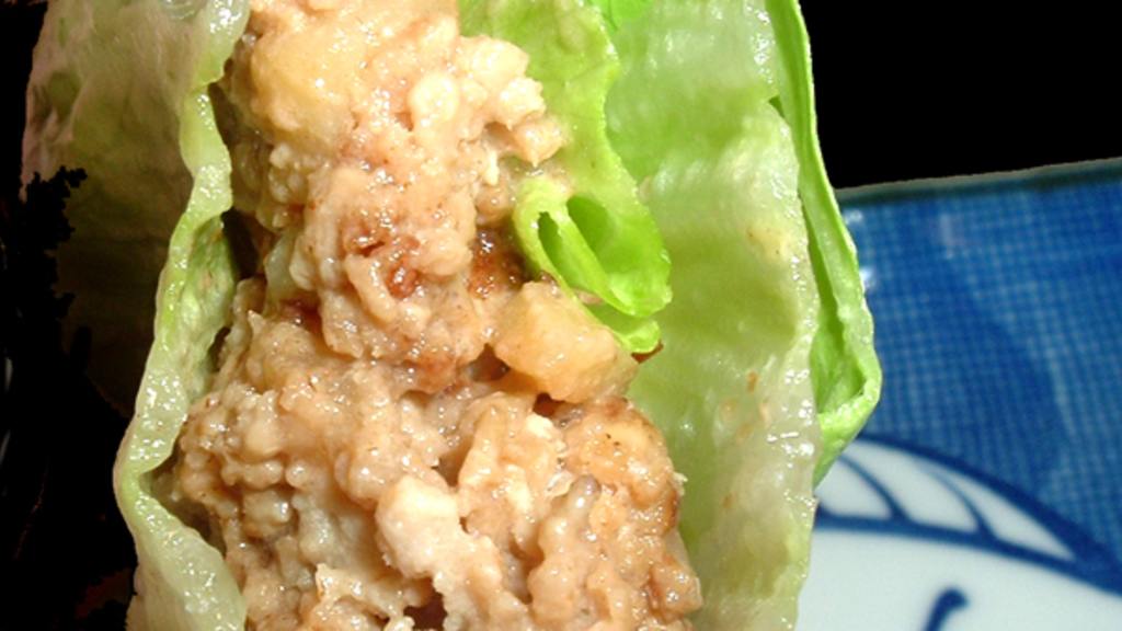 Easy  Asian Chicken Lettuce Wraps created by Bergy