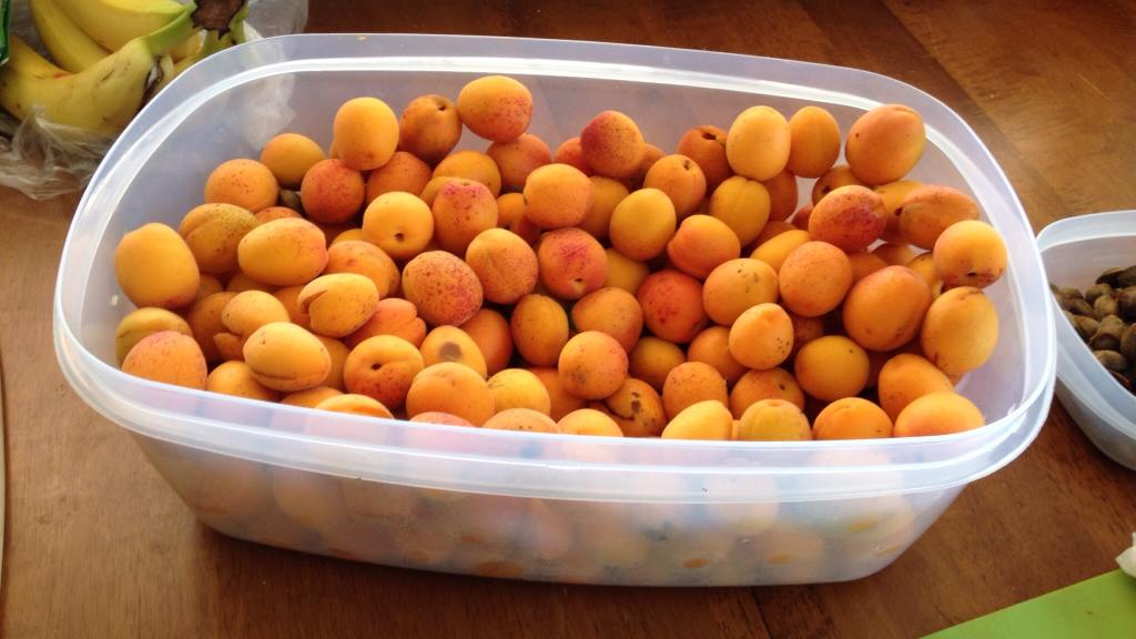 Apricot and Ginger Jam Recipe