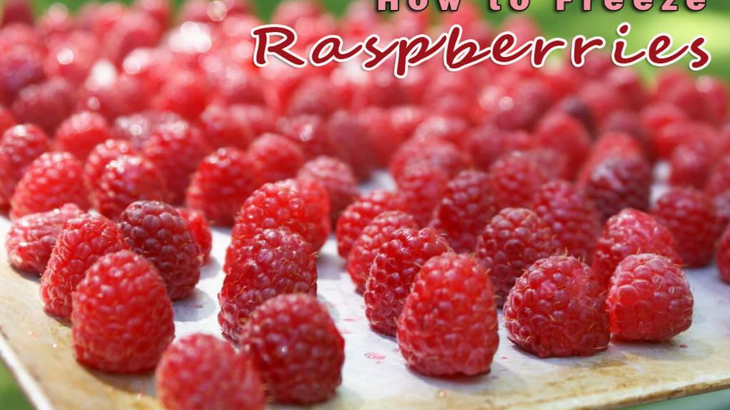 How to Freeze Raspberries Recipe - Food.com