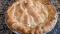Simple Peach Pie created by thesunking93