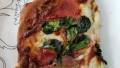 Easy No Rise Pizza Crust created by Mariah P.
