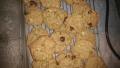 Oatmeal Chocolate Chip Lactation Cookies by Noel Trujillo created by Sunni M.