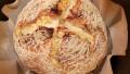 Duonyte's No-Knead Sourdough Bread created by Perilous