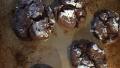 Fudge Crinkles (A Great 4 Ingredient Cake Mix Cookie) created by longtrail18
