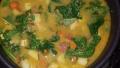 Quick and Easy Curried Turkey Soup created by Anthony R.