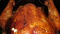 Perfect Turkey in an Electric Roaster Oven created by John B.