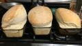 Basic Sourdough Bread created by Penguin S.