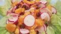 African Orange Spice Salad created by PanNan