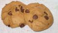 Best Ever Chocolate Chip Cookies created by Giustino