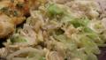 Lizann's Oriental Cabbage Salad created by puppitypup