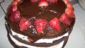 Chocolate Bavarian Torte created by SweetSueAl