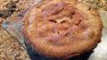 Cousin Jim's Amazing Apple Pie created by bamboosmom