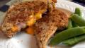 Toasted Roasted Cheese and Onion Sandwich created by Derf2440