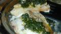 Red Snapper With Herbs created by Barb G.
