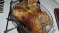 Chicken, Basted Deli Rotisserie Chicken on a Spit? created by Timothy H.