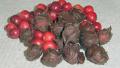 Chocolate Covered Cranberries created by Karen..