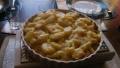 Chicken, Tarragon and Potato Casserole created by kiwidutch