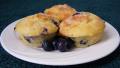 Blueberry Cheesecake Muffins created by coconutcream