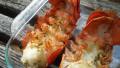 Grilled Garlic Tarragon  Lobster Tails created by breezermom