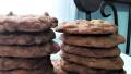 Thick and Chewy Chocolate Chip Cookies created by Baby Kato