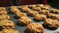 Ginger Oat Cookies (no White Sugar Added) created by fawn512