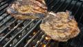 Grilled Lamb Chops Desert Style created by Bergy