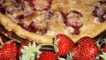 Strawberry Rhubarb Custard Pie created by Julie Bs Hive
