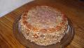 German Chocolate Layer Cake With Coconut Pecan Frosting created by DamiansMummy