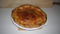 Chicken Pie, Traditional South African Style created by vattern