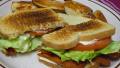 Classic BLT Sandwich created by VickyJ