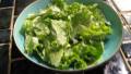 Leaf Lettuce Salad created by breezermom