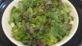 Simple Salad (Sangchu Kutjuri) created by Mamas Kitchen Hope