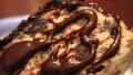 Hot Fudge Oreo Gourmet Cheesecake created by aviva