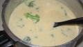 Cheese and Broccoli Soup created by Redneck Epicurean