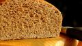 Whole Wheat Bread created by GaylaJ