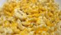 Four Cheese Macaroni - Low Fat & Delicious! created by Junebug