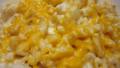 Four Cheese Macaroni - Low Fat & Delicious! created by Junebug