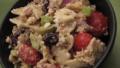 Greek-Style Tuna and Bow Tie Pasta Salad created by Engrossed