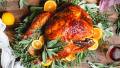 Honey Brined Herb Roasted Turkey created by Amanda Gryphon